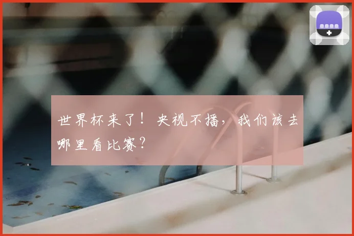 世界杯来了！央视不播，我们该去哪里看比赛？