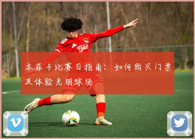 本菲卡比赛日指南:如何购买门票及体验光明球场