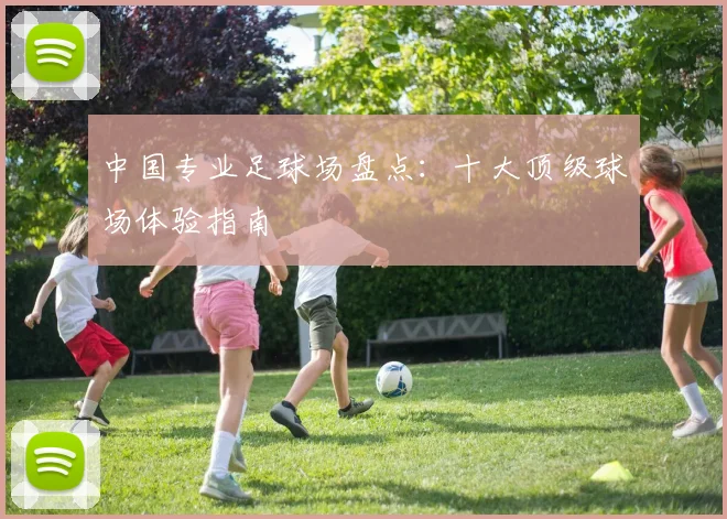 中国专业足球场盘点:十大顶级球场体验指南